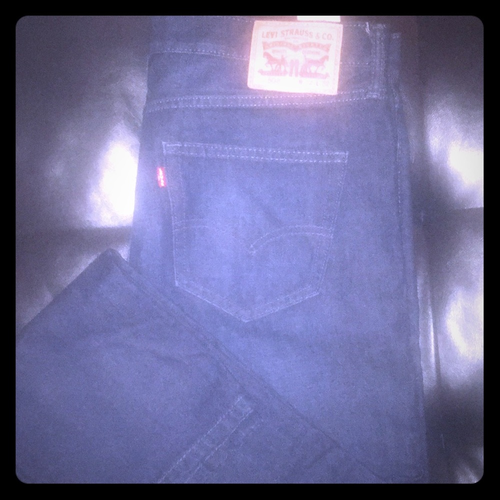 Levi’s Men’s 508 jeans